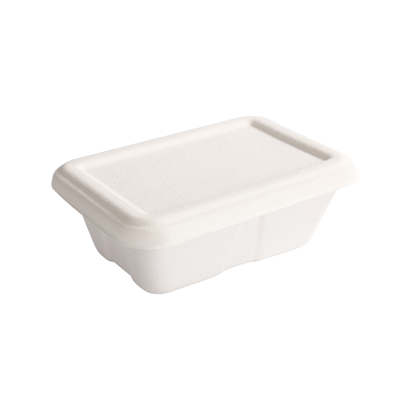 Environmental Protection 440ml Single compartment box with lid L15.5*W10.6*H5.5cm