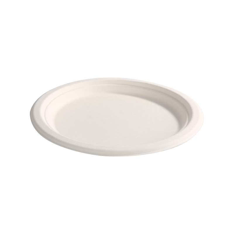 Environmental Protection10" Classic round heavy plate L26*H2.5cm