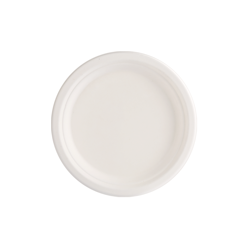 Environmental Protection10" Classic round heavy plate L26*H2.5cm