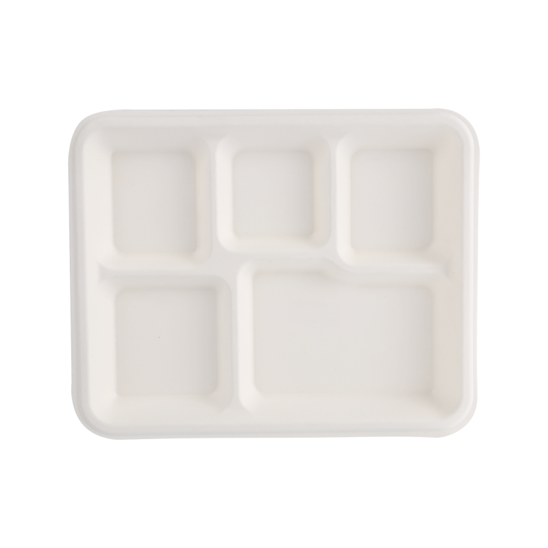 Cheap 5 Comp. school tray L26.2*W21.2*H2.5cm