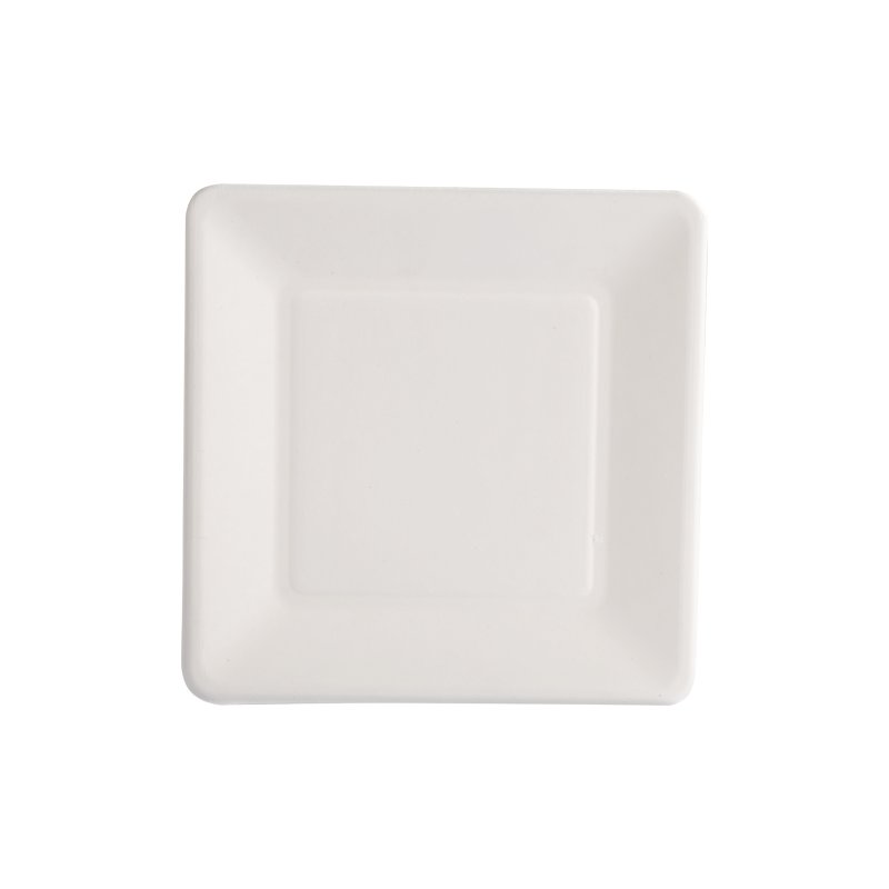 Cost-effective 8" Square tray L20*W20*H1.3cm