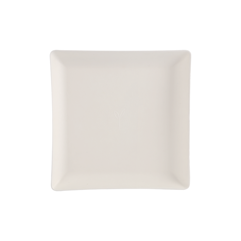Affordable 22cm*22cm Square compostable tray L22*W22*H2.0cm