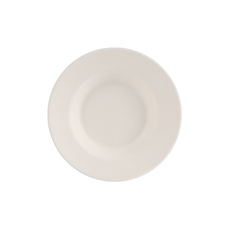 Degradable 23cm Salad bowl L23*H3.7cm