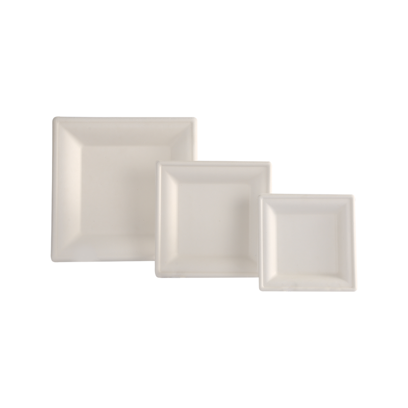 Environmental Protection 6"disposable square tray L16*W16*H1.5cm