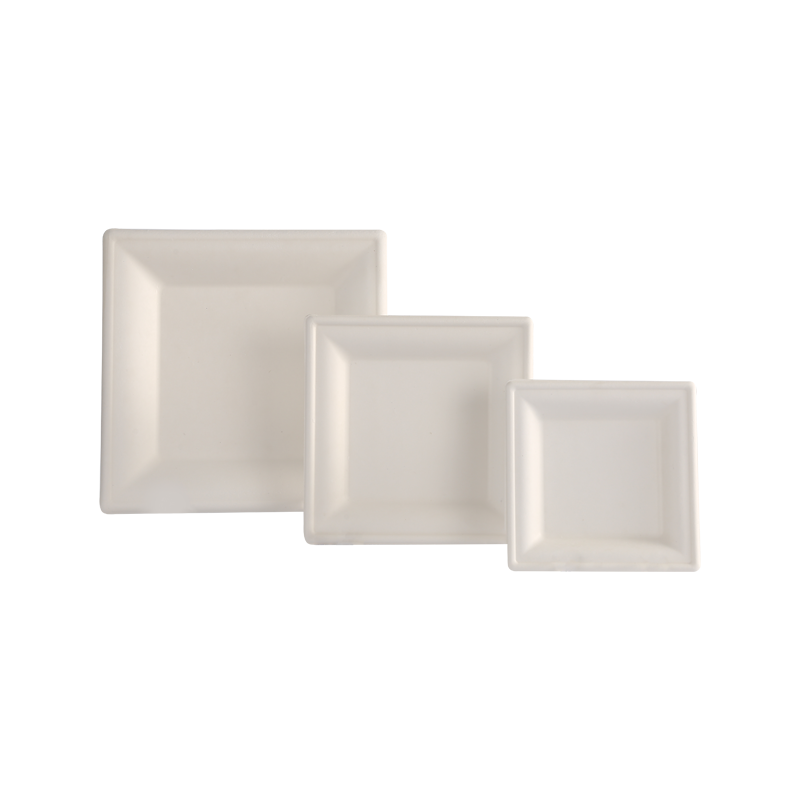 Energy saving 8"disposable square food tray L20*W20*H2.2cm