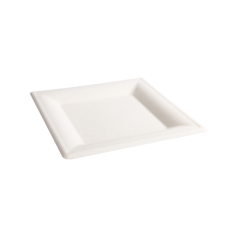 Cheap 8"disposable square food tray L20*W20*H2.2cm
