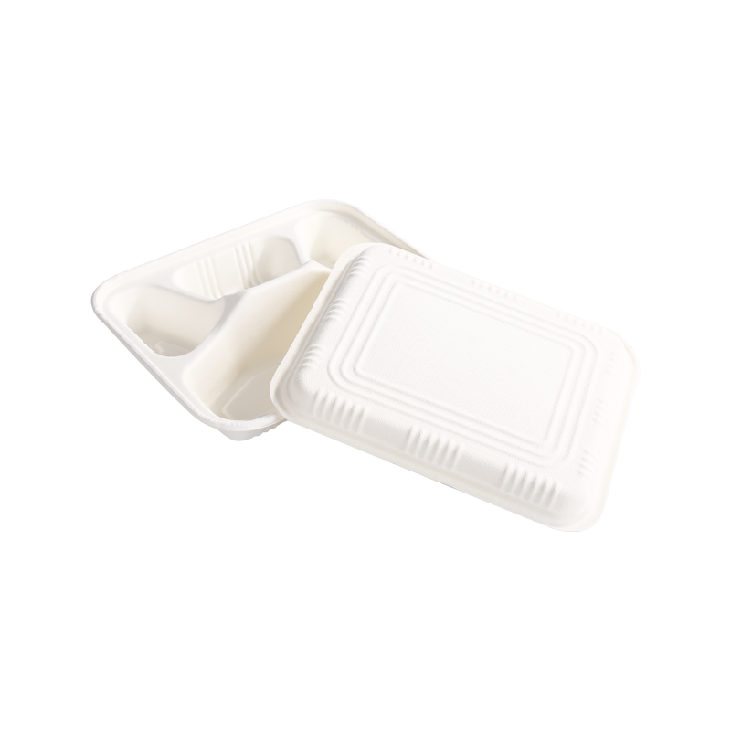 Cost-effective 4-Compartment box with lid L23.2*W19.8*H5.0cm