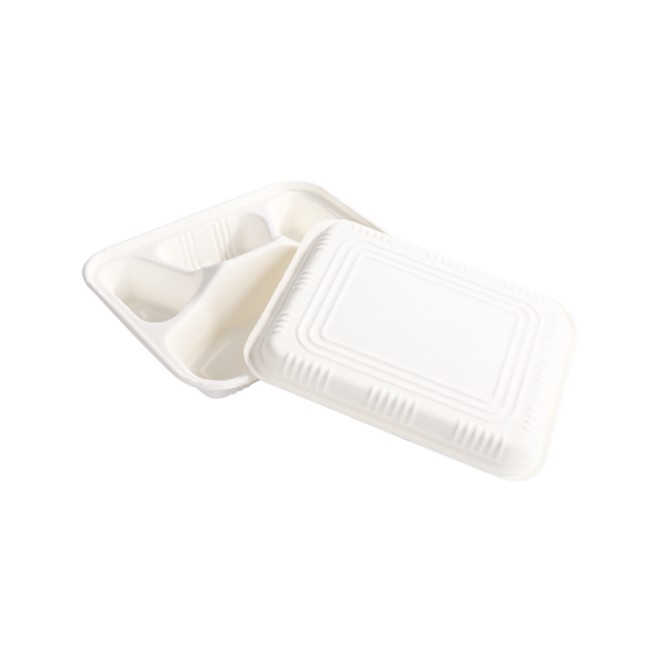 Cost-effective 4-Compartment box with lid L23.2*W19.8*H5.0cm