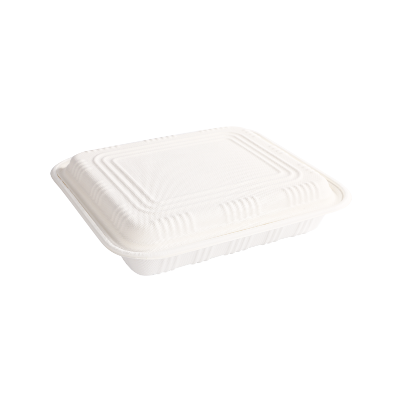 Cost-effective 4-Compartment box with lid L23.2*W19.8*H5.0cm