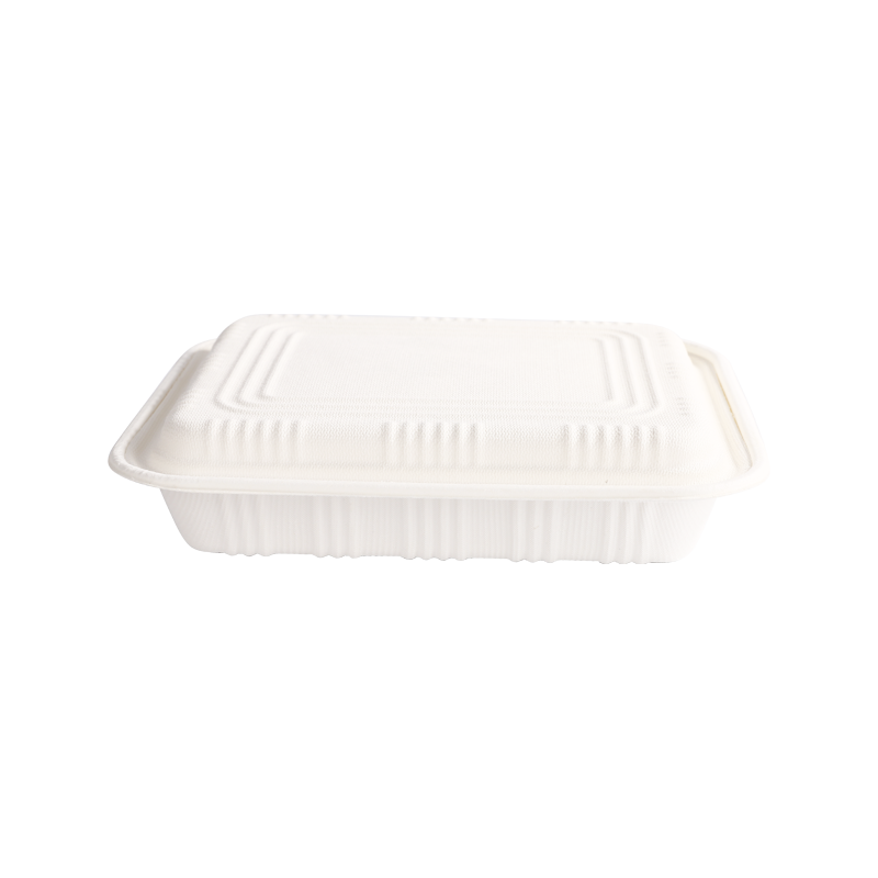 Cost-effective 4-Compartment box with lid L23.2*W19.8*H5.0cm