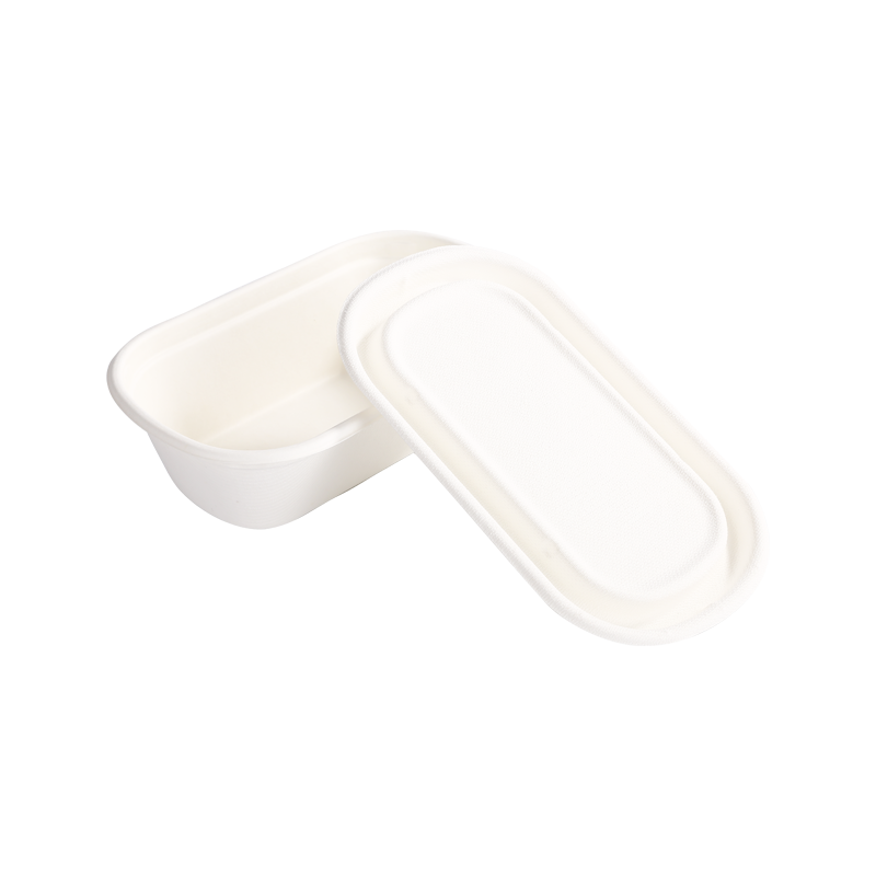 Affordable 950ml Single compartment container with lid L23.3*W13.5*H6.8cm