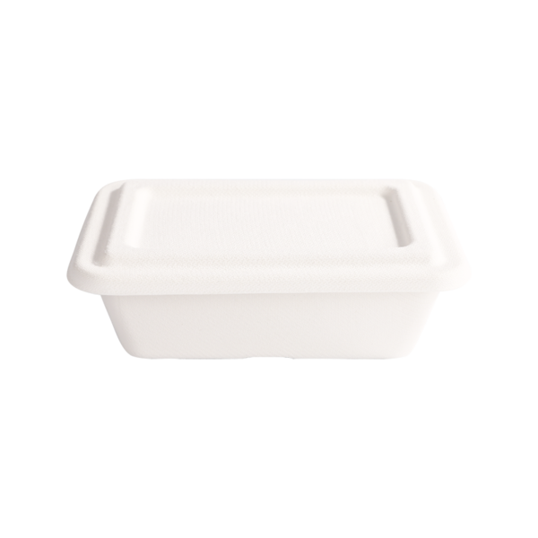 Recycling 680ml Single compartment box with lid L18.5*W12.5*H6.0cm