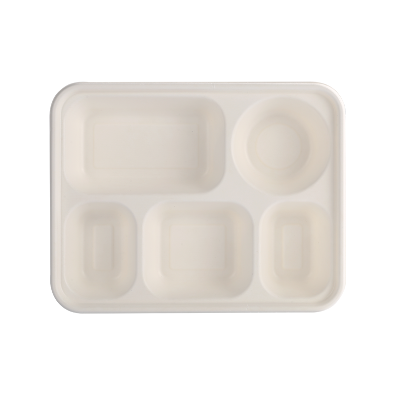 Degradable 5-Compartment Lunch Box L26*W22*H4.5cm