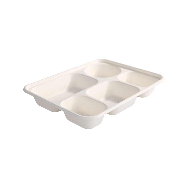 Degradable 5-Compartment Lunch Box L26*W22*H4.5cm