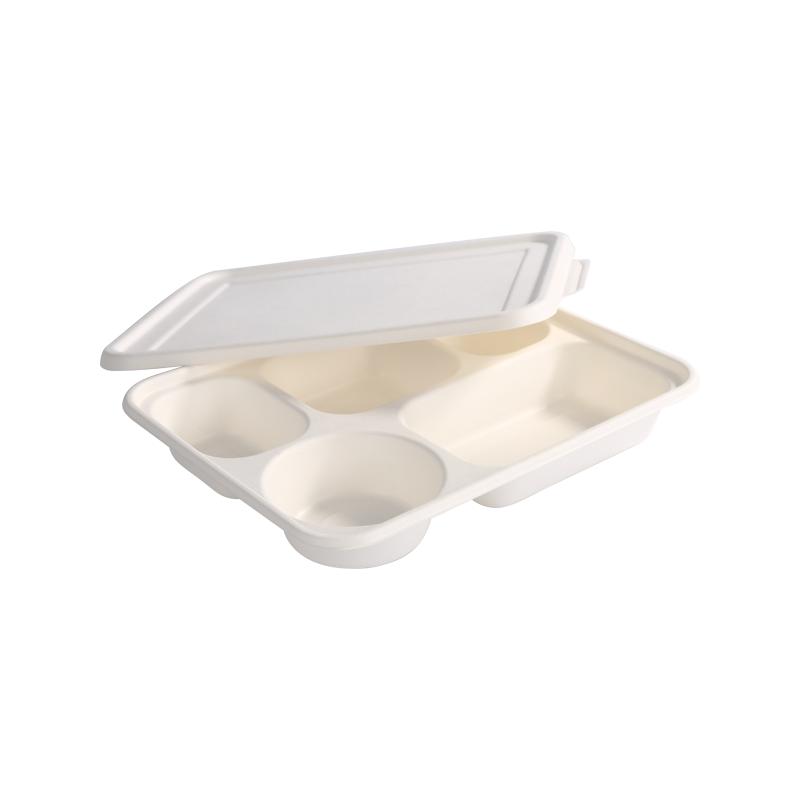 Degradable 5-Compartment Lunch Box L26*W22*H4.5cm