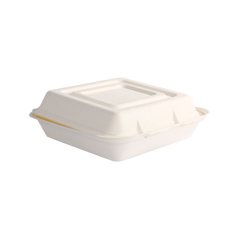 Recycling 10" x 10" Single-comp. clamshell L24.5*W24.3*H3.8/4.5cm